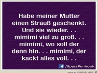 Habe meiner Mutter einen Strauss geschenkt