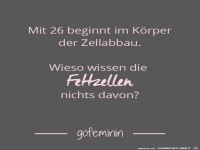 Mit 26 beginnt im Körper...