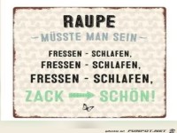 Raupe m�sste man sein