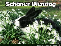 Dienstag