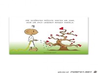 die schoensten Fruechte