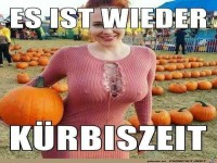 Kürbiszeit