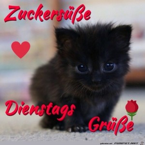 Begrüßungsbild