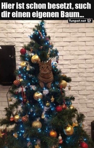 Der-Baum-ist-besetzt.jpg auf www.funpot.net