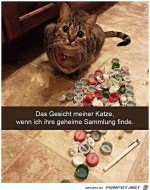 Geheime-Sammlung-der-Katze-entdeckt.jpg auf www.funpot.net