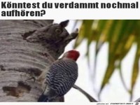 H�r jetzt endlich auf