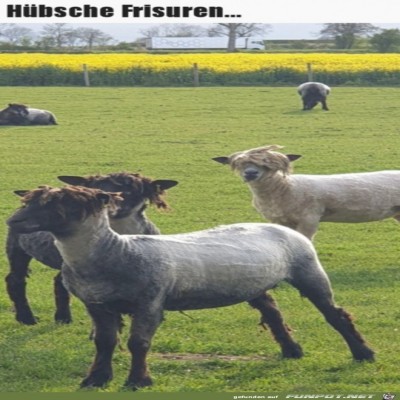 Super-Frisur.jpg von Henry