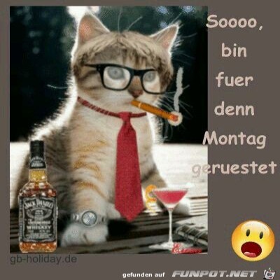 Bin-fuer-Montag-geruestet.jpg von Floh