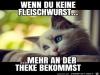 Trauriges K�tzchen