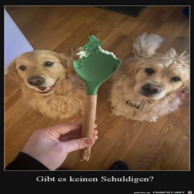 Keiner-ist-schuldig.jpg von Lawrence