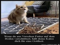 Eine Gottheit f�r die Katze