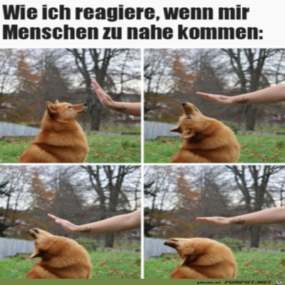 Pfoten-weg.jpg von Malou