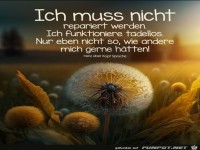 Ich mu nicht repariert werden