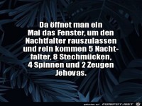 Fenster ge�ffnet