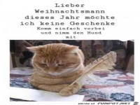 Was sich die Katze w�nscht