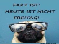 Heute ist nicht Freitag