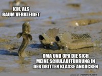 Lustiger Vergleich mit Schulauff�hrung