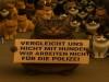 weiter