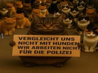 Katzenprotest: Kein Hundevergleich