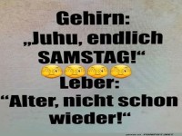 Samstag: Party f�rs Gehirn, Panik f�r die Leber
