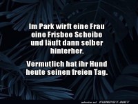 Frisbee-Chaos ohne Hund!