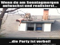 die Party ist vorbei