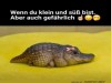 weiter