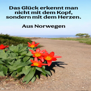 das-gl�ck-erkennt-man.png von Fabioma