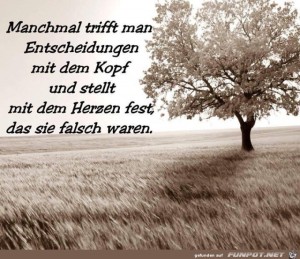 Entscheidungen.jpg auf www.funpot.net