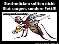 Stechmuecken