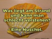 muschel