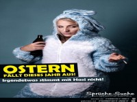 irgendetwas-stimmt-mit-hasi-nicht