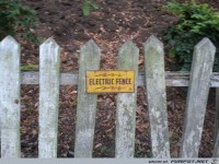 Elektrischer Zaun
