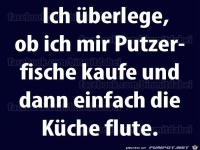 Ich �berlege, ob ich mir Putzerfische kaufe...