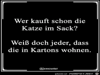 Wer kauft schon die Katze im Sack