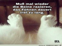 Muss mal wieder die Beine rasieren