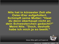 Nils hat in k�rzester Zeit alle Oster-Eier aufgefuttert