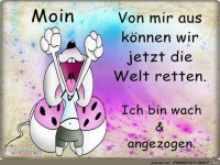 Moin
