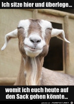 Mal-�berlegen.jpg auf www.funpot.net