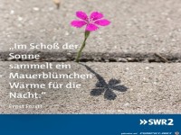 im Scho ss der Sonne