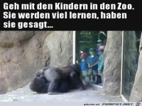 im Zoo