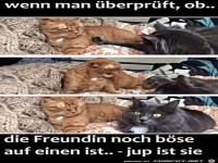 Ist die Freundin noch b�se?