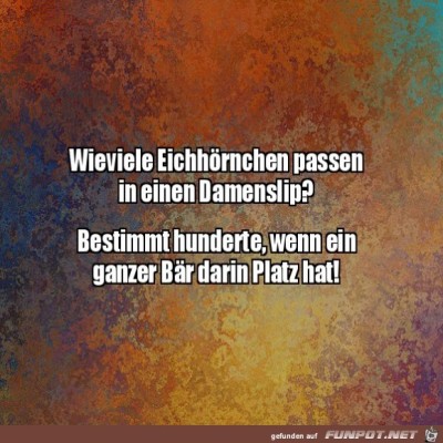 Eichh&ouml;rnchen.jpg von DunklesBrot