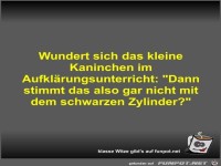 Wundert sich das kleine Kaninchen im Aufkl�rungsunterricht