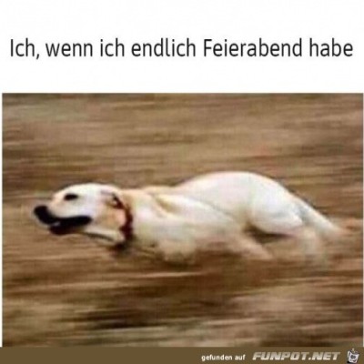 Endlich-Feierabend.jpg von Lawrence
