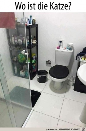 Suchbild---wo-ist-die-Katze?.jpg auf www.funpot.net