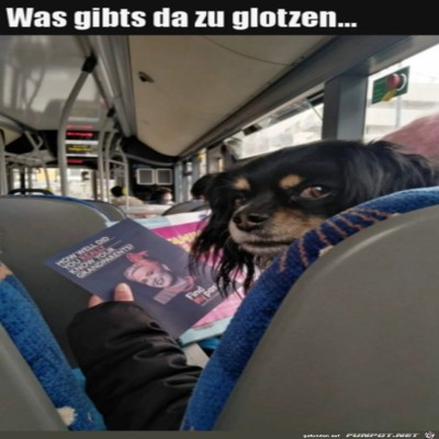 Glotz-nicht-so.jpg von Pius