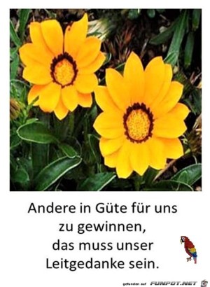 Andere-in-Gte-fr-uns-2.jpg auf www.funpot.net