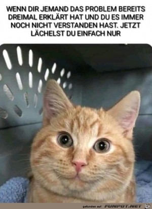 Lcheln-geht-immer.jpg auf www.funpot.net