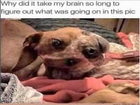 Da muss man länger hinsehen